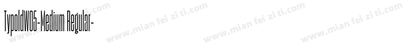 TypoldW05-Medium Regular字体转换
